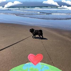 Meet your Posher, Deborah